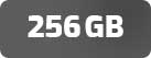 256GB